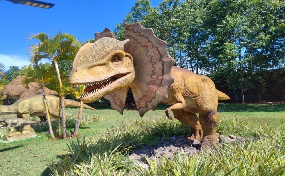 Atrações do Parque dos Dinossauros